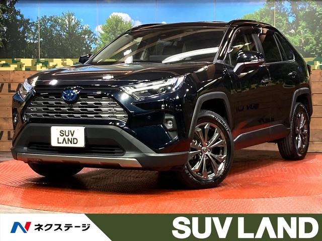 ＲＡＶ４　愛知県 パノラミックビューモニター　デジタルインナーミラー　レーダークルーズ