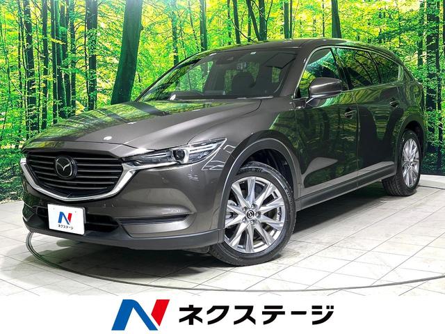 ＣＸ－８　愛知県 ｂｌｕｅｔｏｏｔｈ　フルセグ　ドラレコ　ＥＴＣ　レーダークルーズ