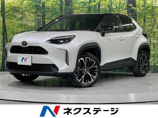 ȥ西 ꥹ ڡʥӡϥ顡ͷڸ