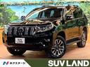 ランドクルーザープラド 東京都 純正9型ナビフルセグTV 全周囲カメラ レーダークルーズ LEDヘッド