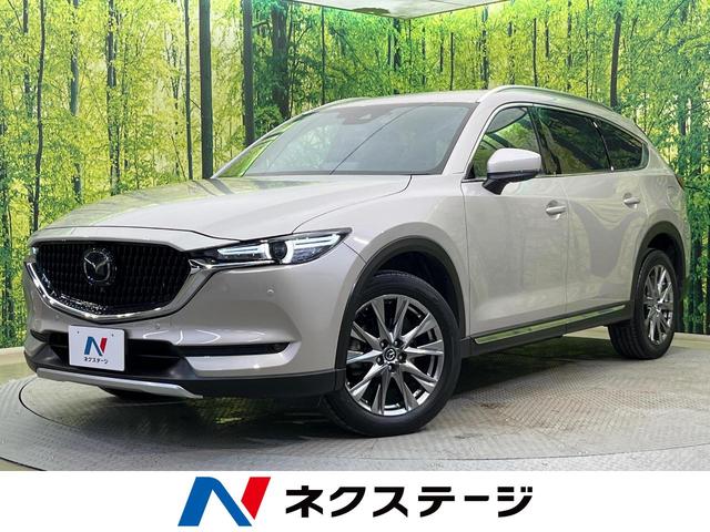 ãءݣ㸩 £ϣӣť쥹ʥӡϥ顡إåɥåץǥץ쥤 1