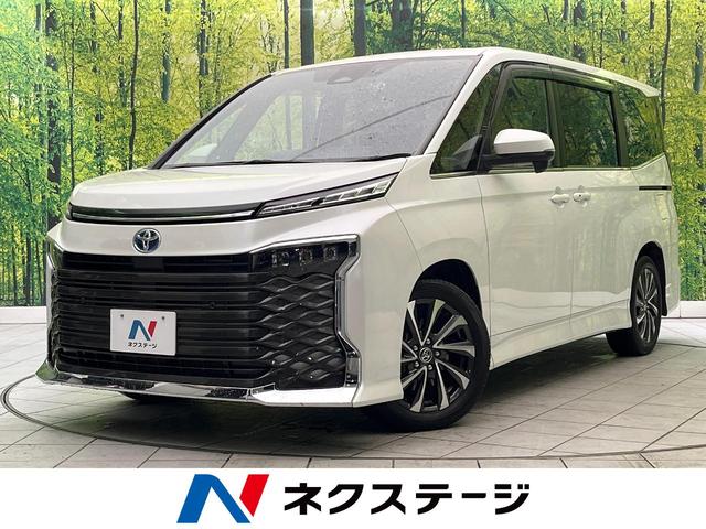 ȥ西  ϥ֥åɣӡݣڡر֡ʥӡХå