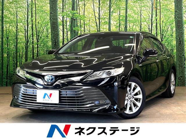 ȥ西  ǡʥӡХå顡ȥ西եƥ