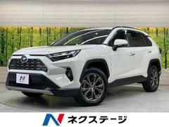RAV4 ハイブリッドG 純正9型DA 全周囲カメラ 衝突軽減装置 レーダークルーズ ブラインドスポットモニター シートヒーター シートベンチレーション パワーシート 電動リアゲート ステアリングヒーター ドラレコ ETC 中古車画像