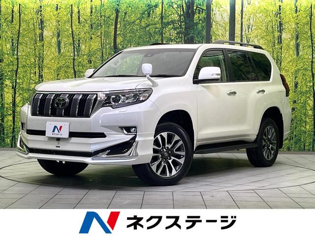 ȥ西 ɥ롼ץ ԣء̥ѥåףġ;