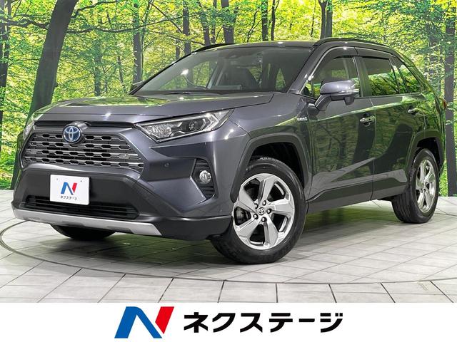 ＲＡＶ４　北海道 ４ＷＤ　バックカメラ　寒冷地仕様　衝突被害軽減システム　レーダークル
