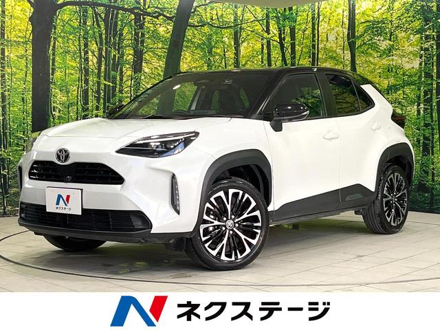 ȥ西 ꥹ ڡͷڸǥץ쥤ǥ£ӣ