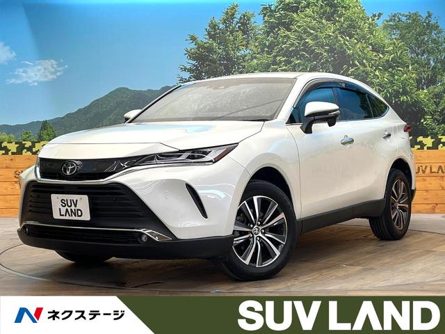 ȥ西 ϥꥢ ǡر֡᡼ʥӡХå