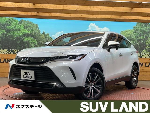 ϥꥢ ʥӡХå顡եƥ󥹡졼롼 1