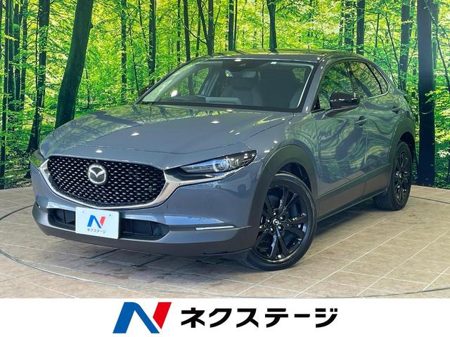 ＣＸ－３０　沖縄県 沖縄県内での販売・登録が条件※宮古島除く