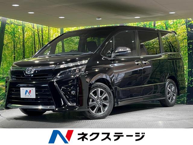 ȥ西  ڣӡɣɡ͡£ɣǣإʥ