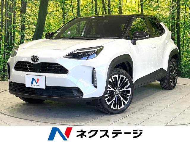 ȥ西 ꥹ ڡر֡ʥӡϥ