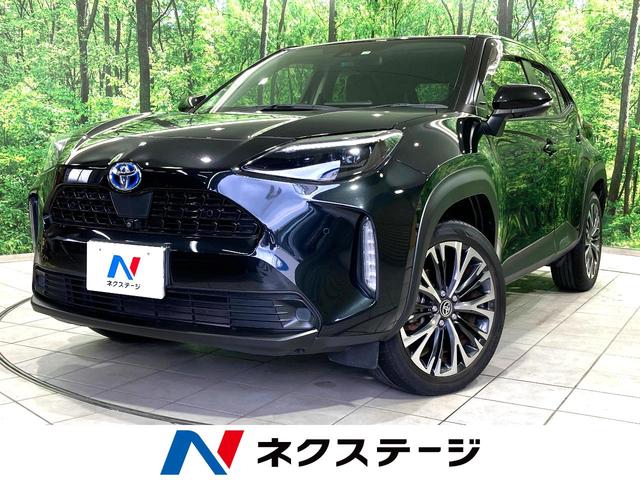 ꥹ̸ ͷڸ졼롼ر֡ϡե쥶ȡѥ 1