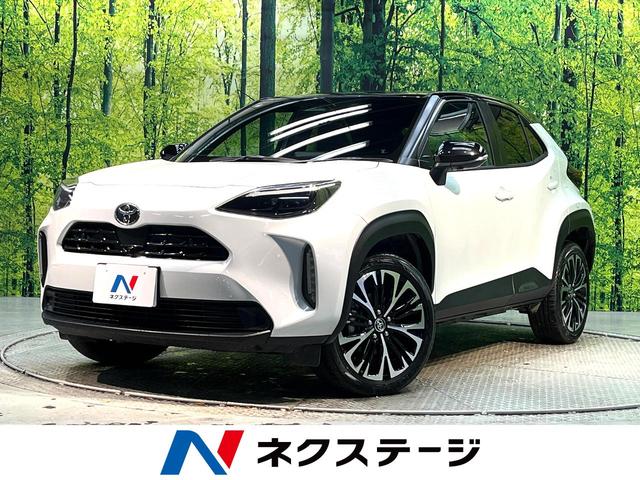 ȥ西 ꥹ ڡر֡ͷڸƥࡡ졼롼