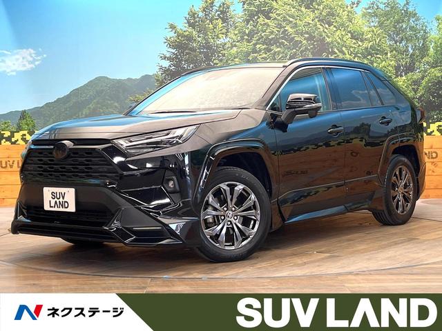 ＲＡＶ４(トヨタ) ハイブリッドＸ　メーカー純正８インチナビ　バックカメラ　ＴＲＤエアロ　プリクラッシュセーフティ　レーダークルーズ　ブラインドスポットモニター　ＬＥＤヘッド　ＥＴＣ　スマートキー　純正１８インチアルミ 中古車画像