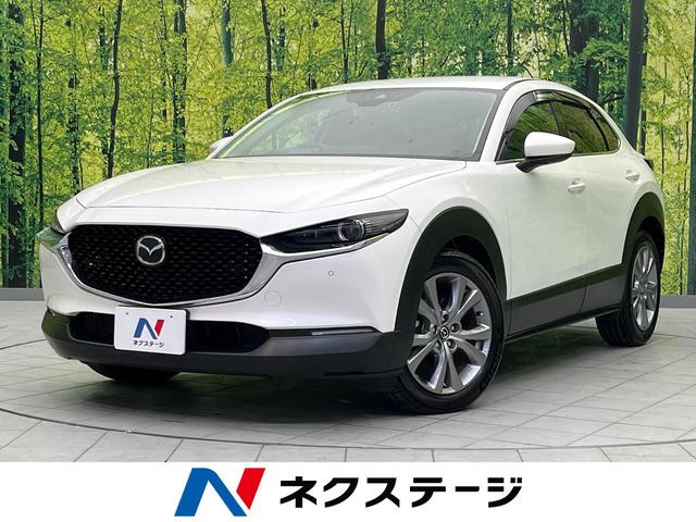 ãءݣʡ ᡼ʥӡХå顡ͷ֡졼롼 1