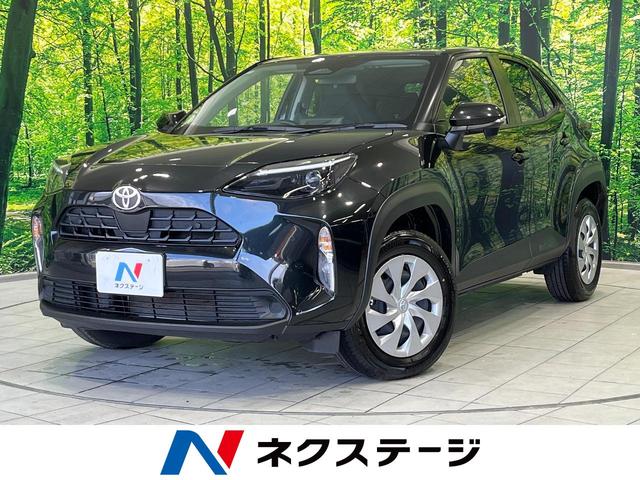 ȥ西 ꥹ ءʥӡХå顡ͷڸ