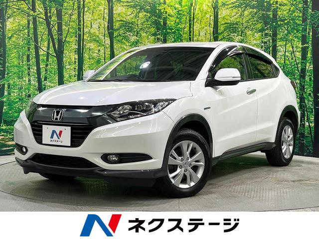 롡̳ƻ ϻ͡ʥӡƥ֥졼롼ȥ롡ȥҡ 1