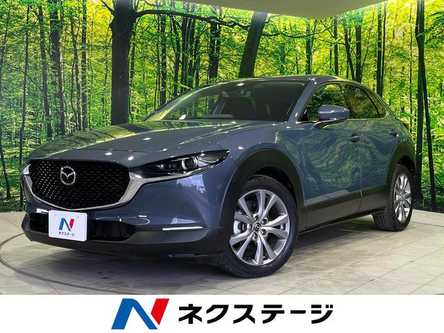 ޥĥ ãءݣ ӡץƥ֡ġ󥰥쥯󡡣ף