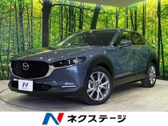 ޥĥãءݣӡץƥ֡ġ󥰥쥯󡡣ף