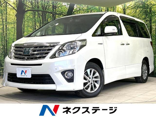 եɥϥ֥åɡܾ븩 롼ա᡼ʥӡʥ˥ϥ顡ξ¦ư 1