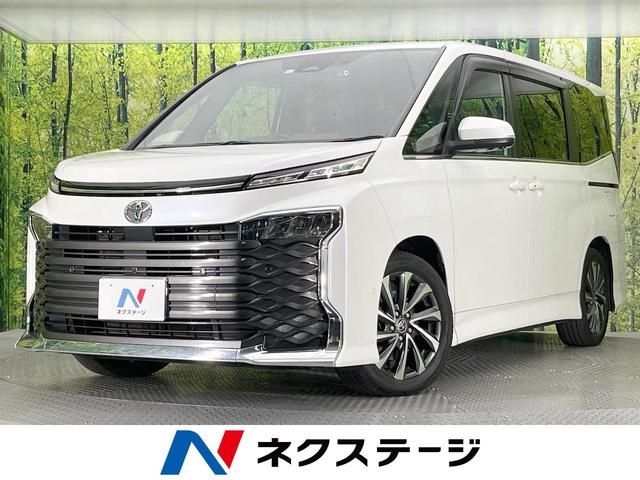 ヴォクシー　愛知県 フリップダウンモニター　純正１０．５型ナビ　両側電動ドア　全周囲カメラ