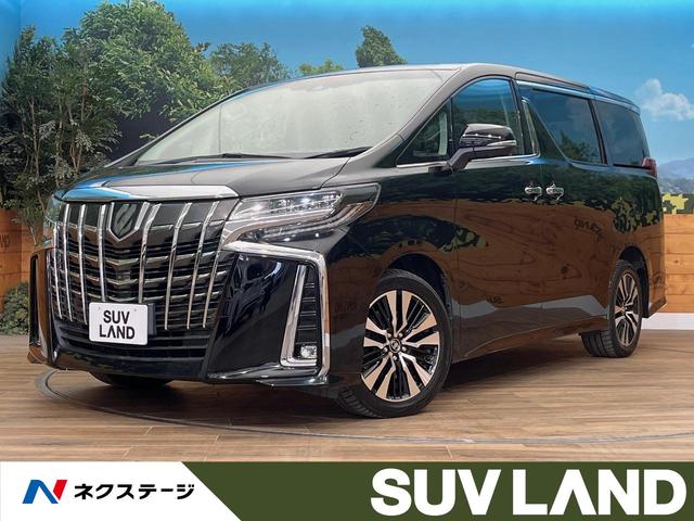 եɡ̳ƻ եåץ󡡣᡼ʥӡʣ£̥ɡϥ 1