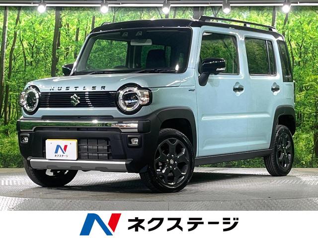 ϥ顼 ʥӡϥ顡ﳲڸƥࡡ졼롼 1