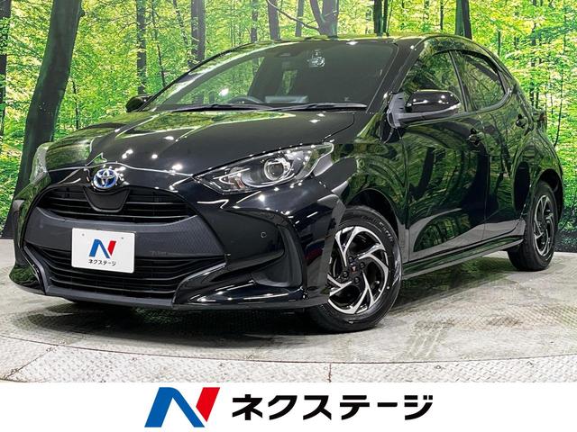 ꥹܾ븩 ǥץ쥤ǥХå顡ǥꥹߥۥ 1