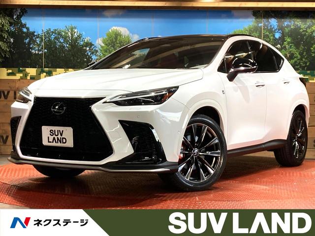 Σءθ ϥ顡ﳲڸƥࡡ졼롼ر 1