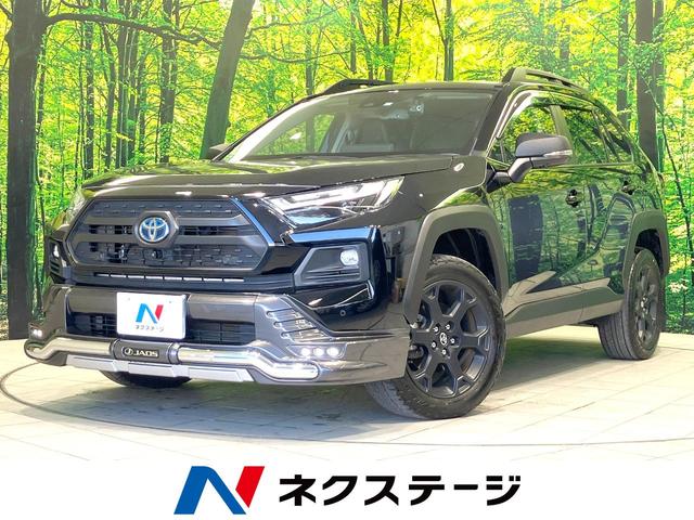 ＲＡＶ４　愛知県 禁煙車　ＪＡＯＳエアロ　全周囲カメラ　ルーフレール　４ＷＤ
