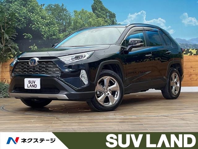 ＲＡＶ４　北海道 ４ＷＤ　全周囲カメラ　寒冷地仕様　９型ディスプレイオーディオ