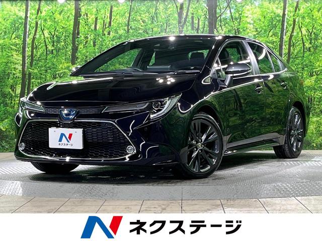 ȥ西  ϥ֥åɡ֥ХӡХå顡ﳲڸƥ