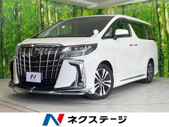 アルファード　宮崎県 サンルーフ　モデリスタフルエアロ　ＢＩＧ－Ｘナビ　衝突被害軽減システム