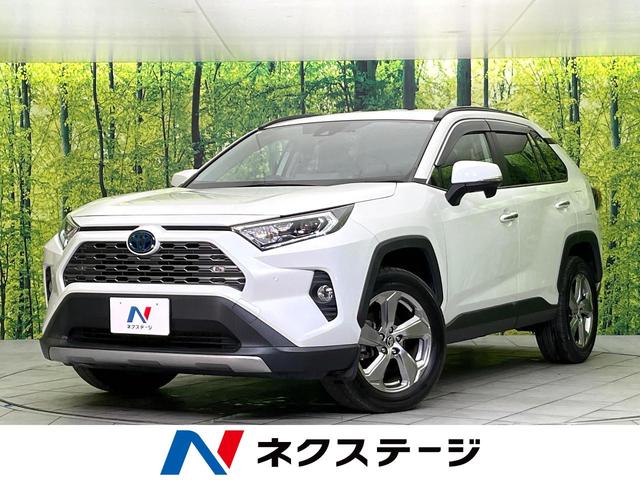 ＲＡＶ４(トヨタ) ハイブリッドＧ　４ＷＤ　禁煙車　純正９型ナビ　バックカメラ　ＣＤ／フルセグ／Ｂｌｕｅｔｏｏｔｈ　ＬＥＤヘッド　オートライト　オートマチックハイビーム　ステアリングヒーター　パワーバックドア　シートヒーター　ＥＴＣ 中古車画像