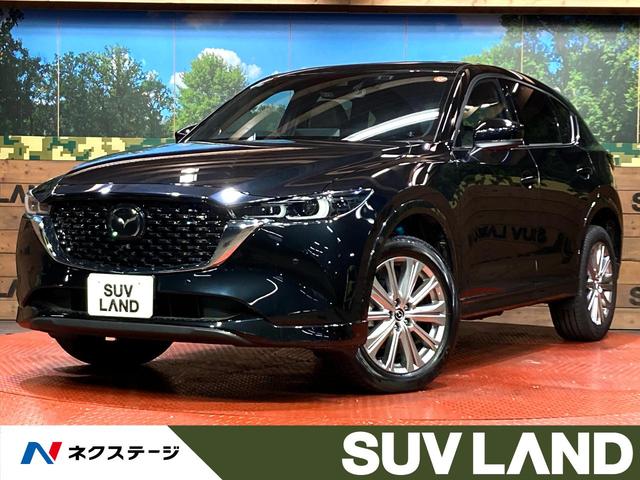 ãءݣθ ޥĥͥȡ£ϣӣťɡϥ顡ﳲڸ 1