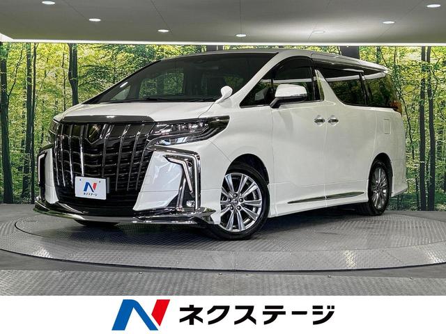 アルファード　岐阜県 サンルーフ　フルエアロ　両側電動ドア　９型ナビ　後席モニター