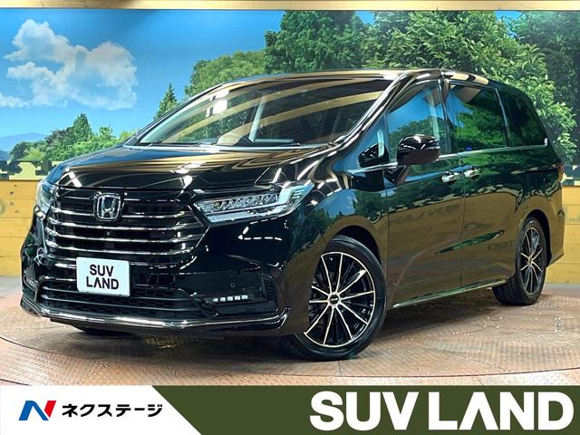 ۥ ǥå ֥롼ȡţءʥ˥ʥ