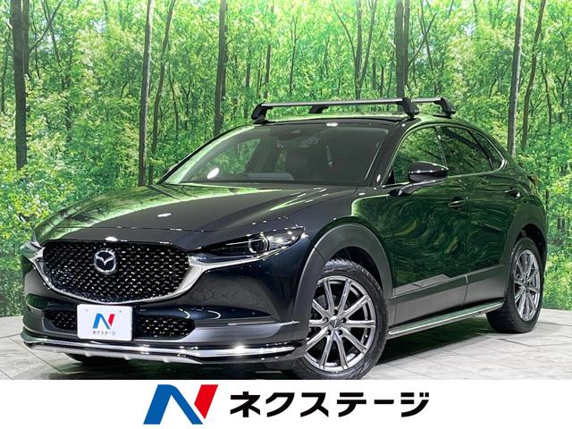 bw|RO(}c_) QOr@kpbP[W@WDW^}c_RlNg@S̓J@Փˌyu@dAQ[g@[_[N[Y@p[V[g@U[V[g@V[gq[^[@uChX|bgj^[@dsb@hR@։ԁ@bc^cuc Îԉ摜