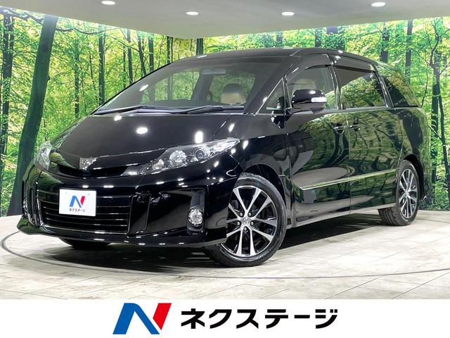 ƥޡܾ븩 ξ¦ư饤ɥɥʥӡʥ˥ر֡ţԣ 1