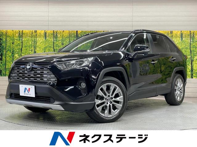 ＲＡＶ４　愛知県 純正９型ナビ　衝突軽減装置　レーダークルーズ　ブラインドスポットモニター