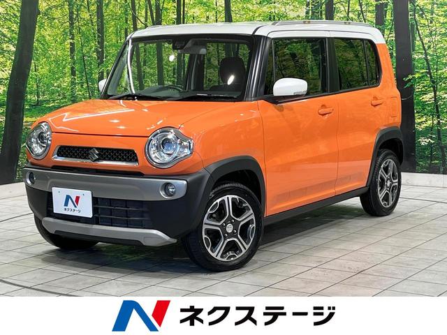  ϥ顼 إܡ졼֥졼ݡȡӣĥʥӡر