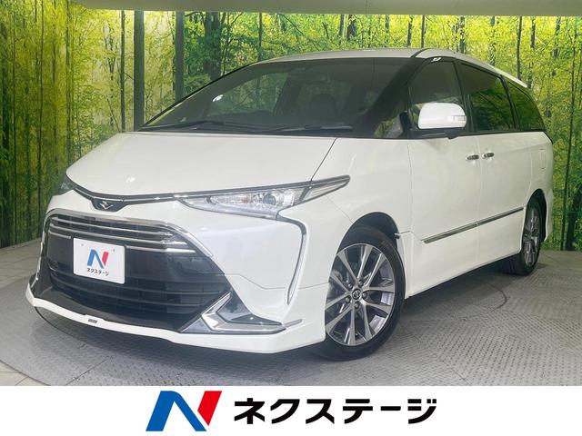 ȥ西 ƥ 饹ץߥࡡǥꥹեƥ󥰥ʥ