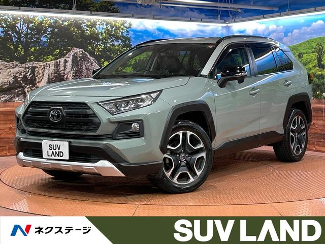 ң֣ ףġʥӡХå顡ﳲڸƥࡡر 1