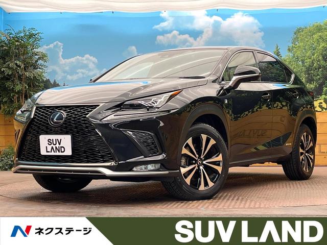 쥯 Σ Σأ衡ƥݡġ롼աϥ