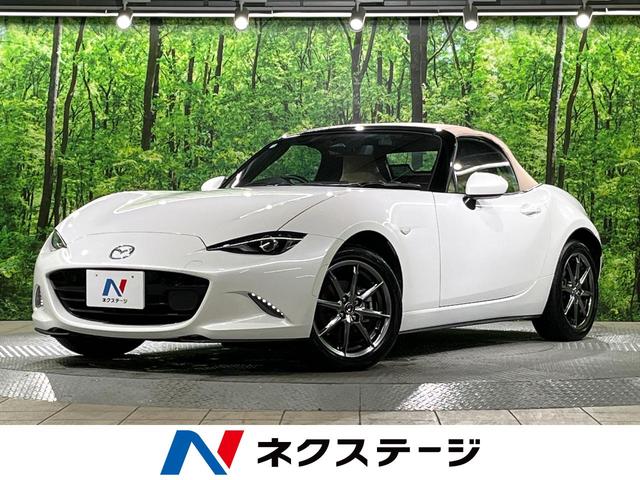 [hX^[(}c_) rU[pbP[W@uZNV@PODQTC`}c_RlNg@obNJ@Փ˔QyVXe@։ԁ@U[V[g@hR@R[i[ZT[@X}[gL[@kdcwbh@PUC`A~@I[gnCr[@ԐEx Îԉ摜