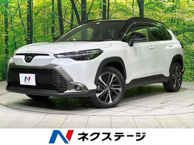 J[NX(g^) nCubh@y@pm}[t@PODTC`fBXvCI[fBI@S̓J@POOud@Փ˔QyVXe@[_[N[Y@։ԁ@n[tU[V[g@a@kdcwbh@dsbQDO Îԉ摜