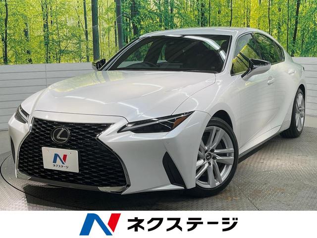 쥯 ɣ ɣӣ衡ӣĥʥӡХå顡ﳲڸƥ