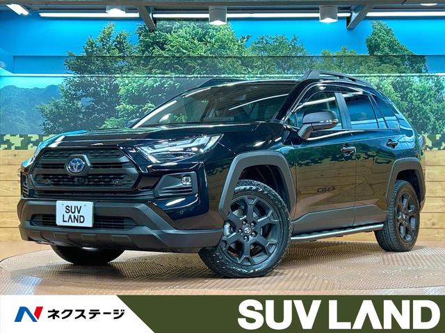 ＲＡＶ４　千葉県 １０型ディスプレイオーディオ　ブラインドスポットモニター