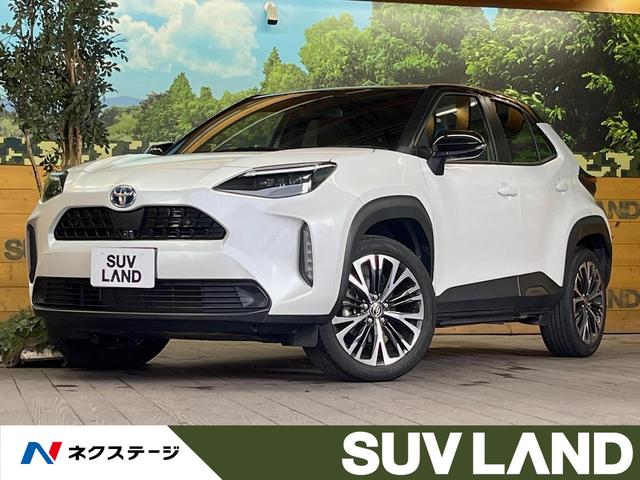 ꥹʡ ʥӵǽգǥץ쥤ǥϥ顡졼롼 1